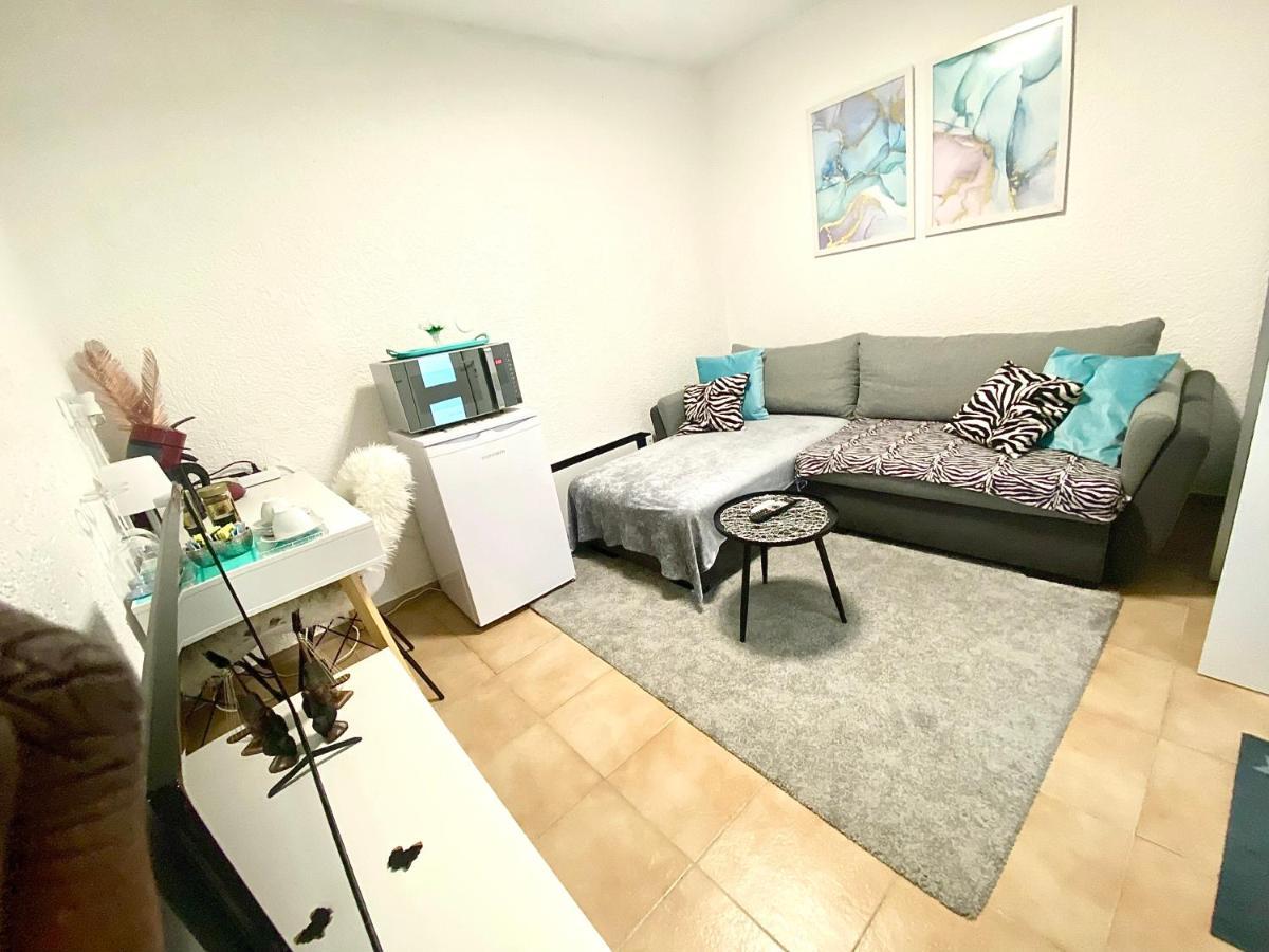 Top Apartment Saarbruecken City エクステリア 写真